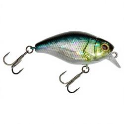 Poisson nageur ILLEX Magum chubby 50 Aurora bleak