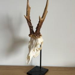 Pr&eacute;sentoir de troph&eacute;es en m&eacute;tal