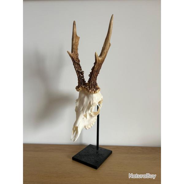 Pr�sentoir de troph�es en m�tal