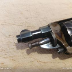 Magnifique Velodog jasp&eacute;