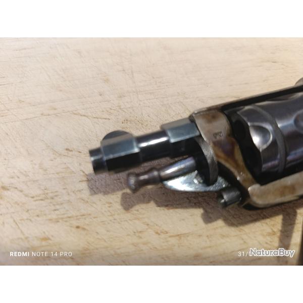 Magnifique Velodog jasp�