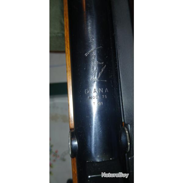Carabine Diana 75