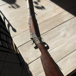 Remington rolling block 8mm lebel