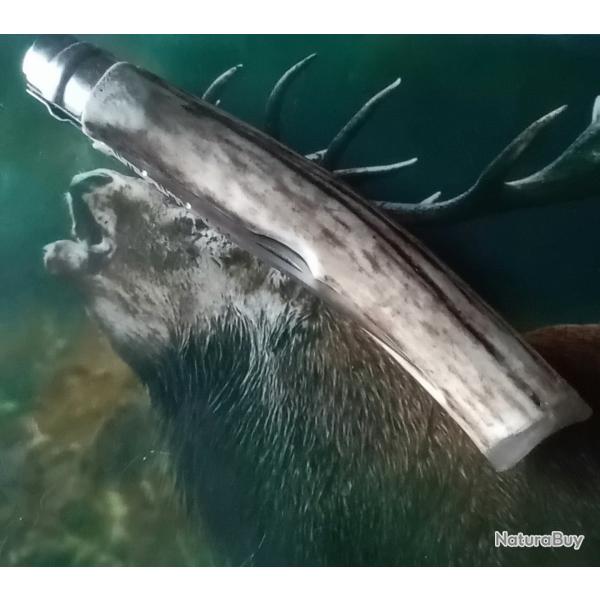 Couteau de poche Opinel 10 bois de cerf