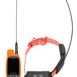 Num'Axes GPS MINI collier + t&eacute;l&eacute;commande &eacute;ducation Ensemble de localisation CANICOM GPS MINI