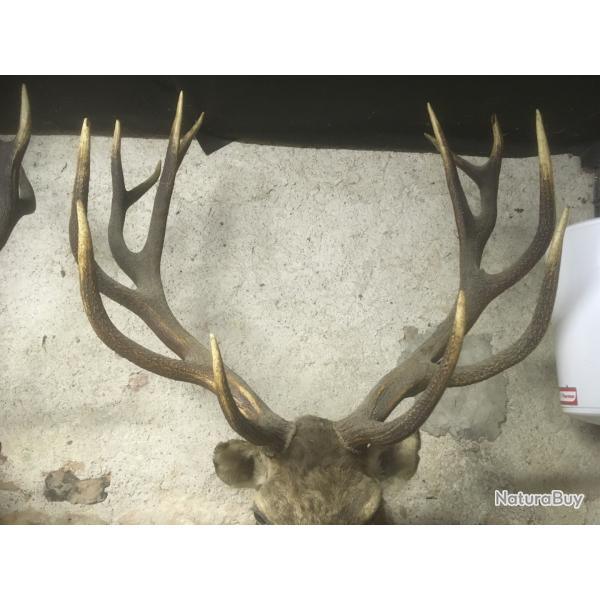 Cherche un traqueur pour Drucken