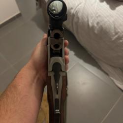 Carabine blaser express