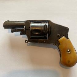 Revolver bulldog 320