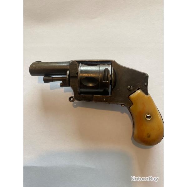 Revolver bulldog 320