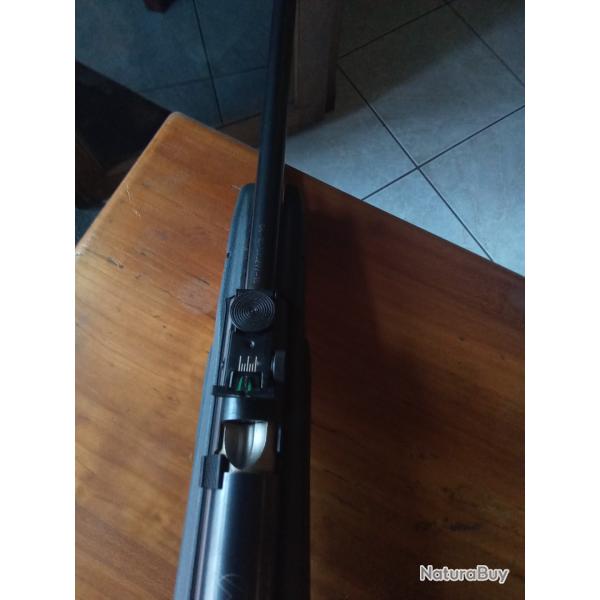 Carabine gamo 4.5 mm
