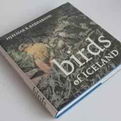 Birds of Iceland Hjalmar R. Bardarson