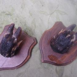 raletier pour 1 arme pates de sanglier