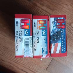 45 balles 243 win hornady interlock 100gr
