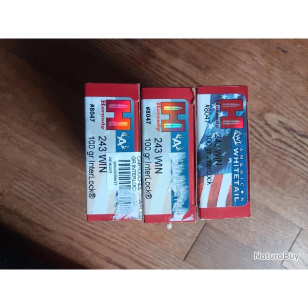 45 balles 243 win hornady interlock 100gr