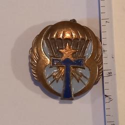 Insigne du 61&egrave;me bataillon de transmission a&eacute;roport&eacute; (61&egrave;me BTAP)