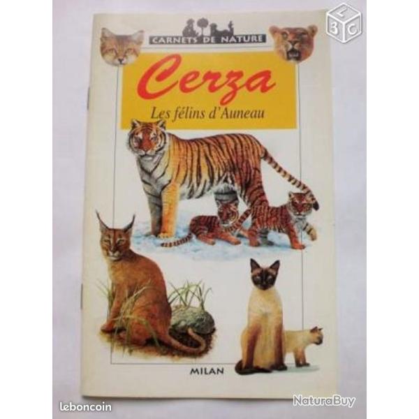 Petit Guide "Les F�lins d'Auneau" - Milan.