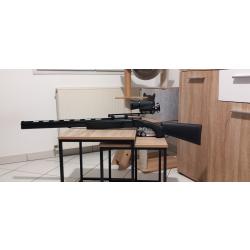 Superpos&eacute; 12 89 migrateur