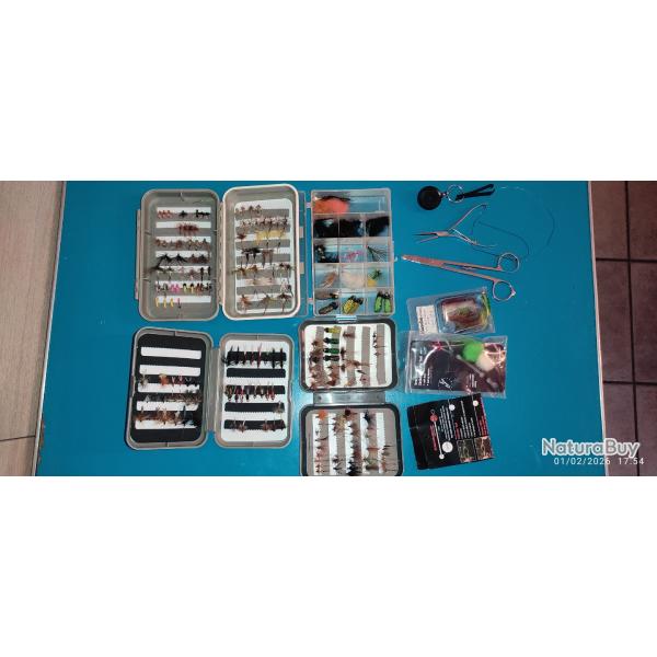 Mouches pour truites