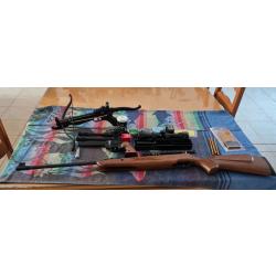 Vend lot cat&eacute;gorie D Carabine a plomb 4.5 ,pistolet a plomb 4.5 et pistolet arbal&egrave;te .