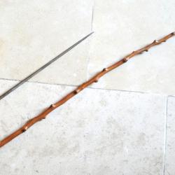 Cravache avec dague dissimul&eacute;e bouton arme parfaitement masqu&eacute;s &eacute;poque XIX  ref HER25CAN006