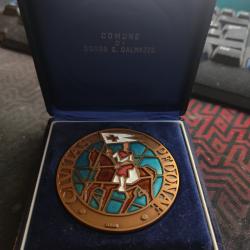 Medaille civitas pedonae