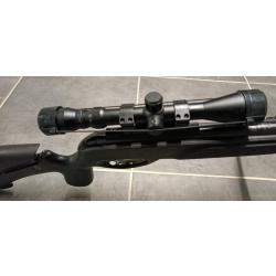 Carabines &agrave; plombCarabine &agrave; plomb Gamo HPA IGT - Calibre 4,5 mm