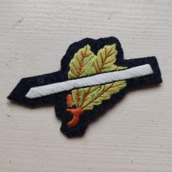 INSIGNE BROD&Eacute;E DE SKIEUR,MODELE 2