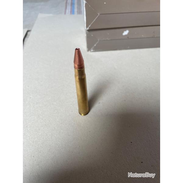 Balles 375hh magnum sologne GPA