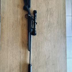 Carabine Savage 222 silencieux