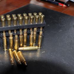 douilles cal 222r