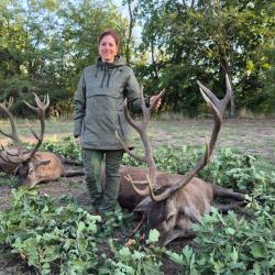 Le cerf au brame en Hongrie avec l'association un monde de chasse