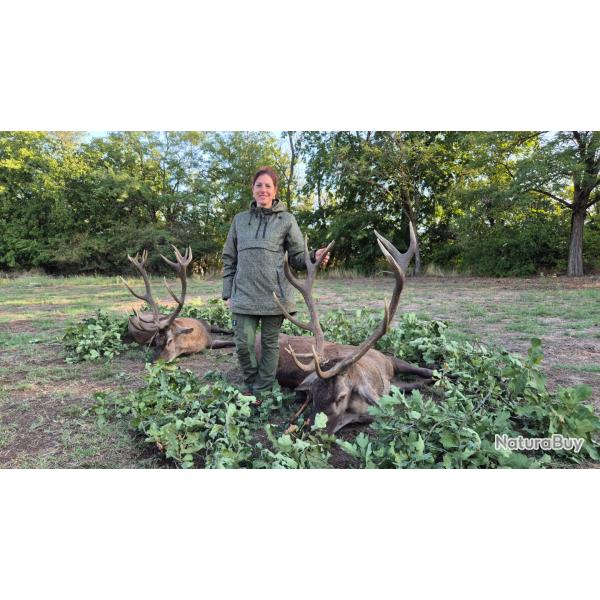 Le cerf au brame en Hongrie avec l'association un monde de chasse