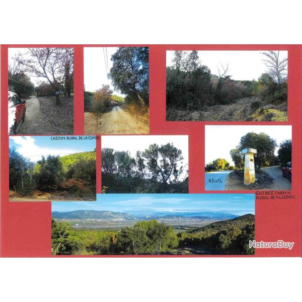 141,3757 ha - FOR�T DES BESSONS - ( 04 ) ALPES DE HAUTE PROVENCE