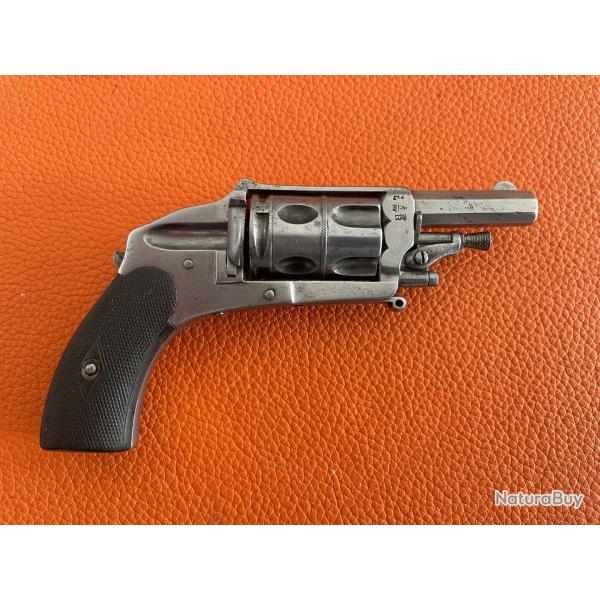 Tr�s joli v�lodog 6 MM