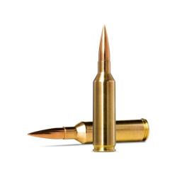 Balles Norma Golden Target - Cal. 6.5 PRC - 143 gr / 9.27 g / Par 1