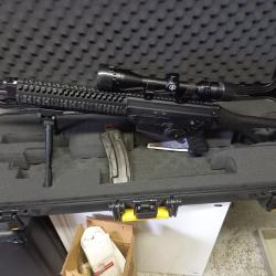 VENDS CARABINE SIG 522