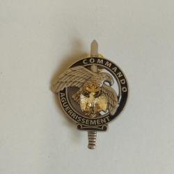 Insigne du brevet d'aguerrissement commando du fort de Penthi&egrave;vre/3&deg;RIMa