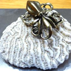 SUPERBE CERVEAU DE NEPTUNE -- FORME RARE A PLACER AVEC VOS AUTRES CORAUX MARINS VARIES ET DIVERS -