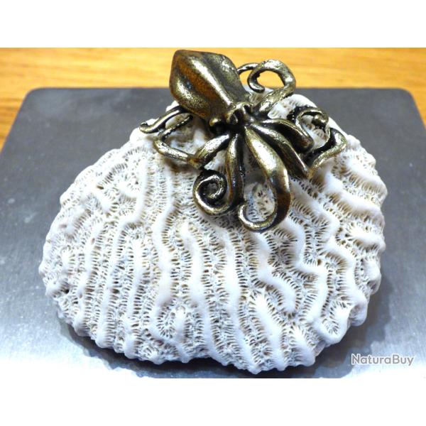 SUPERBE CERVEAU DE NEPTUNE -- FORME RARE A PLACER AVEC VOS AUTRES CORAUX MARINS VARIES ET DIVERS -