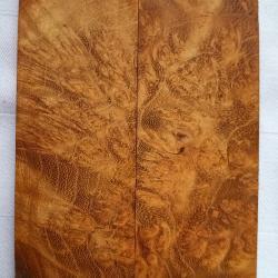 Plaquettes bois de Manguier.