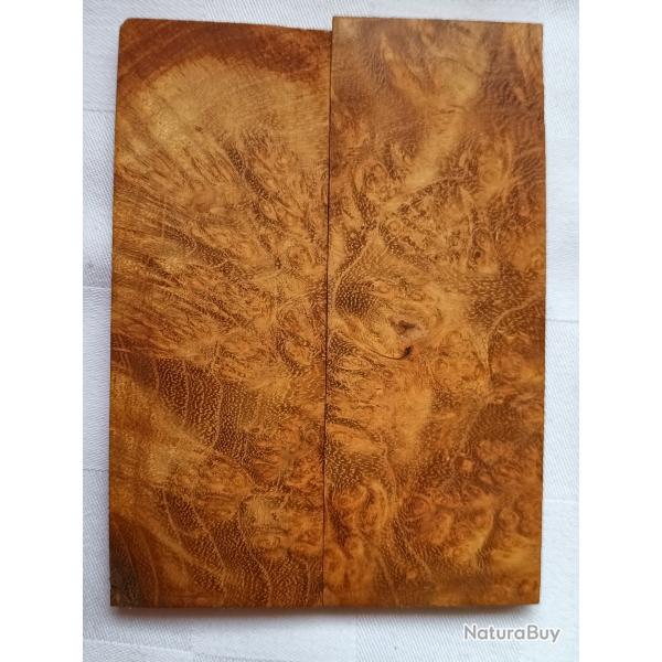 Plaquettes bois de Manguier.