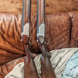 Rarissime paire de darne