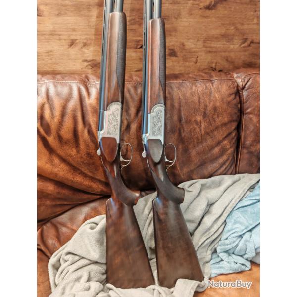 Rarissime paire de darne