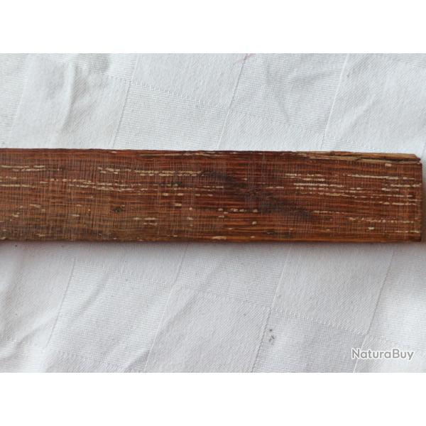 Latte issue d'un foudre de ch�ne.