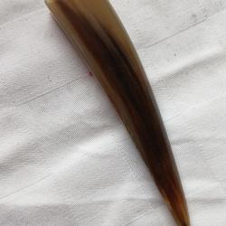 Manche en pointe de corne blonde pour coutea