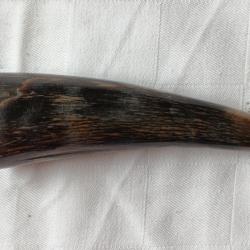 Pointe de corne noire.