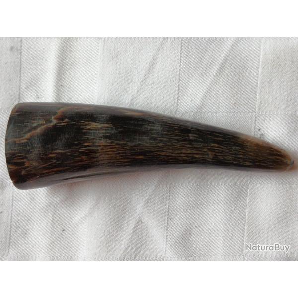 Pointe de corne noire.