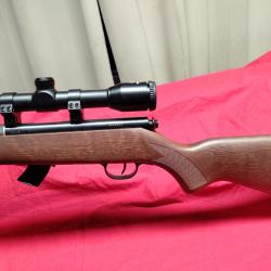 cabine &agrave; verrou cal 22 lr