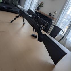 Carabine 22 LR