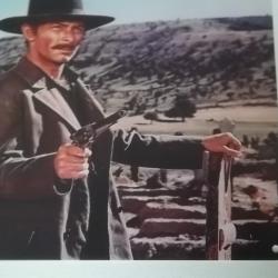 Plaque d&eacute;co western LEE VAN .....